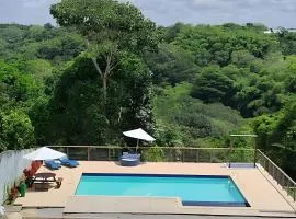 Bosque dos Camarás Panorâmico