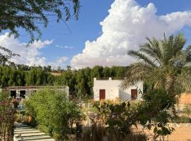 Damas Resort，位于Mezairaa的低价酒店