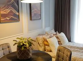 Elite Home 7 Jeżyce- Barańczaka 7