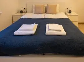 Bright Vilnius Center Apartment