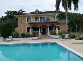 Blue Seas Two，位于蒙特哥贝的宠物友好酒店