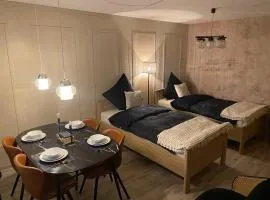 Stylisches City Apartment
