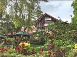 Log Cabin Hotel - Baguio，位于碧瑶的酒店