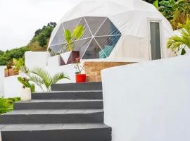 Palm Heights Geodesic Dome