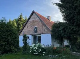 Świerkowe Ranczo Raciszewo