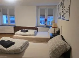 Muhusin Apartments Trimbach