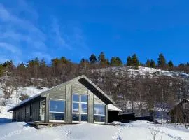 Stunning Home In Bjorli With Wifi
