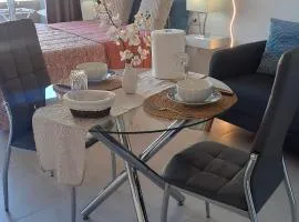 Estudio Playa Jardín
