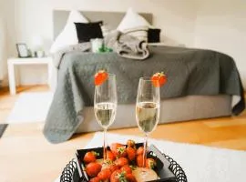 Penthouse am Dom- Altstadt in 200 m- 4 Dachterrassen, stilvoll und ruhig-Self Check-6 Personen