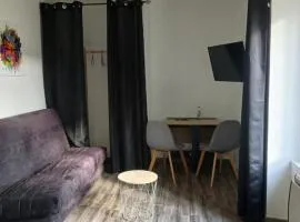 Appartement T2 meublé - Entrée indépendante