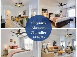 Torrey Pines Chandler