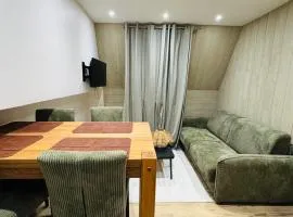 Appartement Murol neuf calme, centre village, vue Château