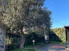 Rural Apartment 44