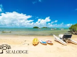 Echoes of the Reef - Azuri Village