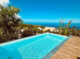 Maison vue mer avec piscine entre lagon et Maïdo