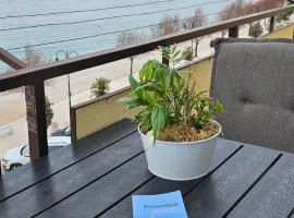 Apartman Pida , apartman s 1 spavaćom sobom