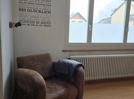 steinlisonne，位于Möhlin的酒店