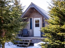The Zzzz Moose Camping Cabins，位于Birch Plain的酒店