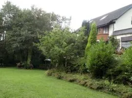 Special accommodation for Business, Commercial or Professional Guests