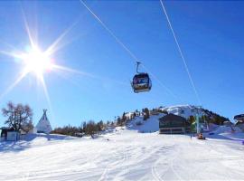 Chalet Alpin, central et parking，位于韦松纳的酒店