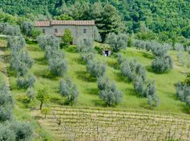 Agriturismo Bindozzino，位于卡斯蒂戈隆·多尔希亚的农家乐