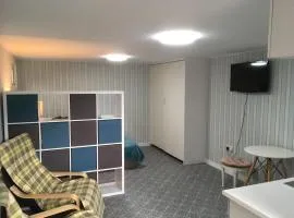 Log cabin studio in Paignton