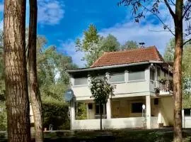 Emily's house