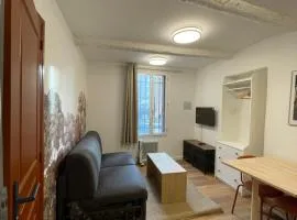 Studio Climatisé rdc plein centre