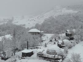 Dream Domes Glamping House，位于盖贝莱的酒店