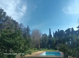 Mas San Salvador