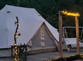 Glamping Bosque - Río Villarrica