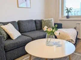 20 - Nice apartment in Kemi City Centre, free parking!