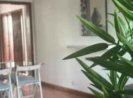 AZORES PEDRA APARTMENTS - T0 e T1