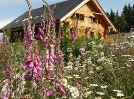 Srub Javorná - apartmány Šumava