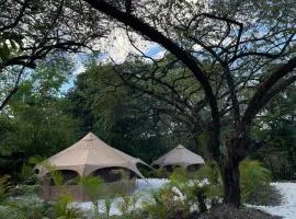 SurFreak Backyard Glamping CoWorking Experience