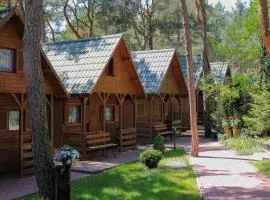 Cottage in azy near Beach and Lake Jamno