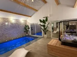 Maison privative avec piscine intérieure, spa, sauna, cinéma et billard