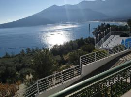 HOTEL DIONYSOS - GOLDEN BEACH Thasos Island，位于克里斯阿穆迪亚的酒店