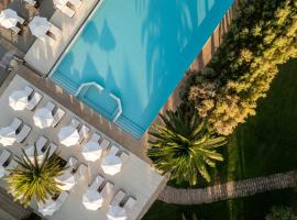 度假广场酒店，位于阿纳维索斯的酒店