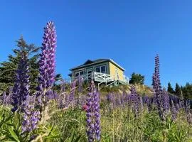 The Crows Nest Studio in Trinity East