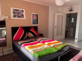 Vida Real Estate Stein