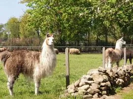 Naturhof Buschwiesen - Wohnung Lama