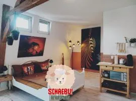 SchaeBu! Apartment 5 Altmarkt goes Afrika