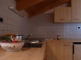 Ferienwohnung im Haus Texel VII