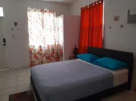 Abigail Diamond 1 Bedroom near Nanny Cay Marina