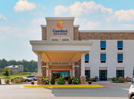 Comfort Inn & Suites East Ellijay，位于埃利杰的酒店