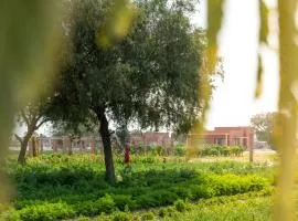 Mharo Khet Jodhpur