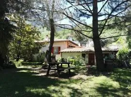 Les lauriers
