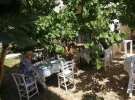Grand teos han