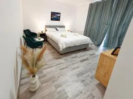 FLH - Studio Escape Din Munti